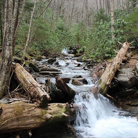 Villa Gorgeous Large Mountain View Cabin W Hot Tub, Free Wifi, Games Sevierville Exterior foto