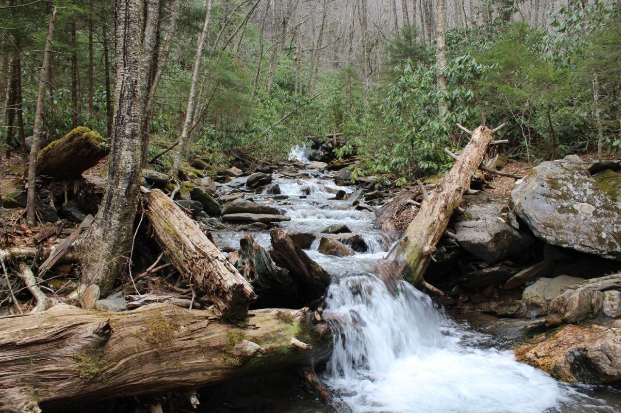 Villa Gorgeous Large Mountain View Cabin W Hot Tub, Free Wifi, Games Sevierville Exterior foto